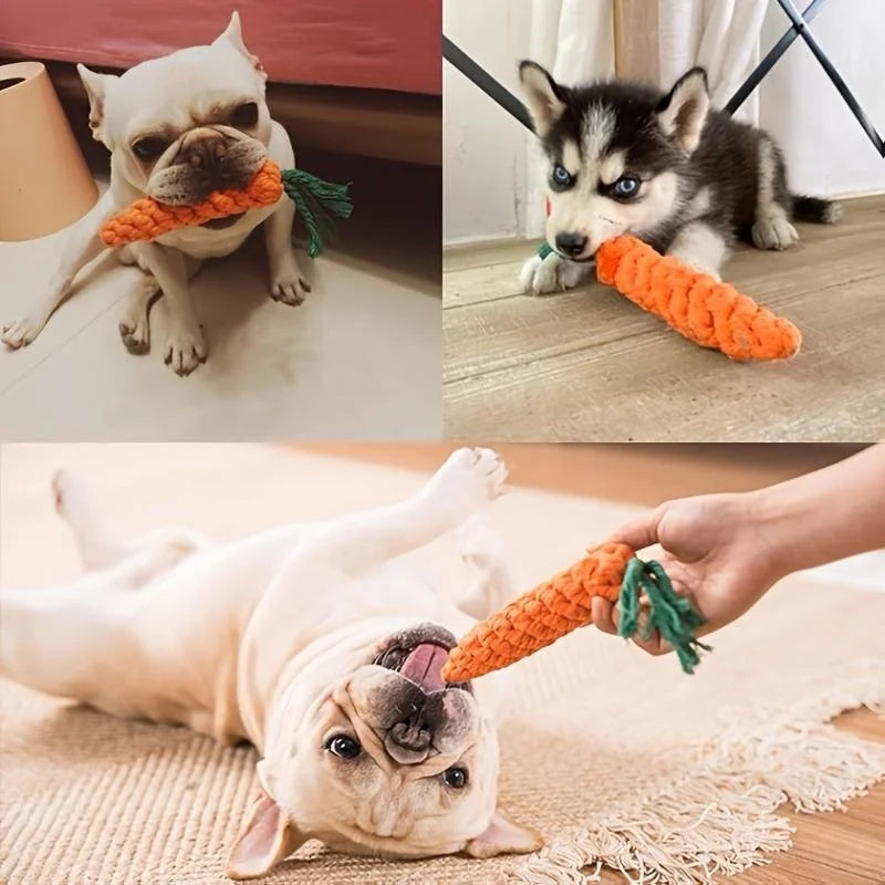 Toy for Dog and Cat Carrot