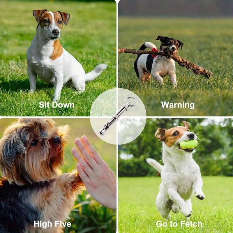 Dog Whistle