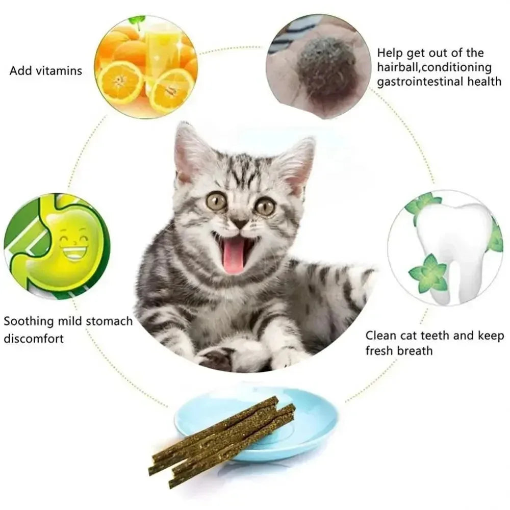 Natural Matatabi Cat Stick Mint