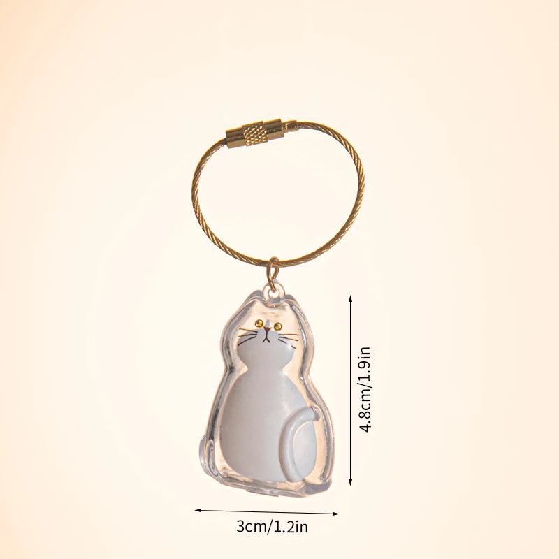Cat Hair Memorial Storage Keychain