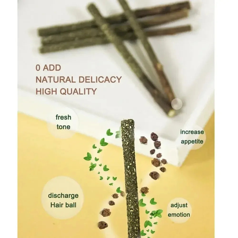 Natural Matatabi Cat Stick Mint