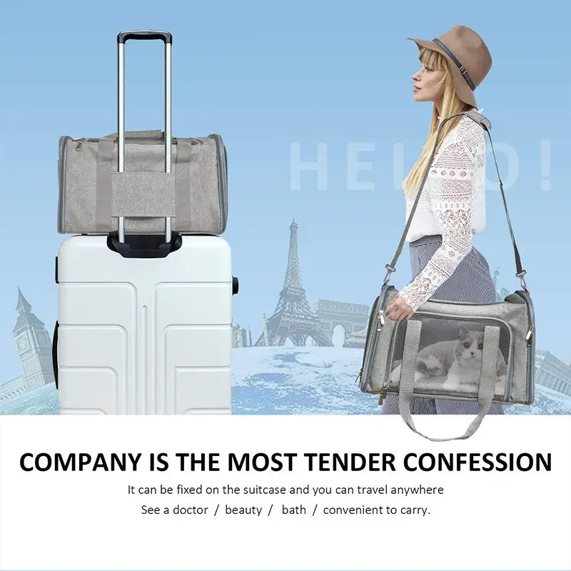 Pet Carrier Bag