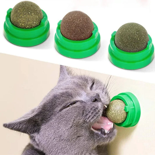Natural Catnip Cat