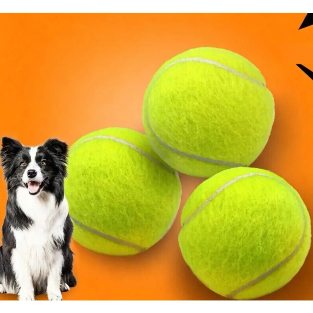 Dog Toy Tennis Ball