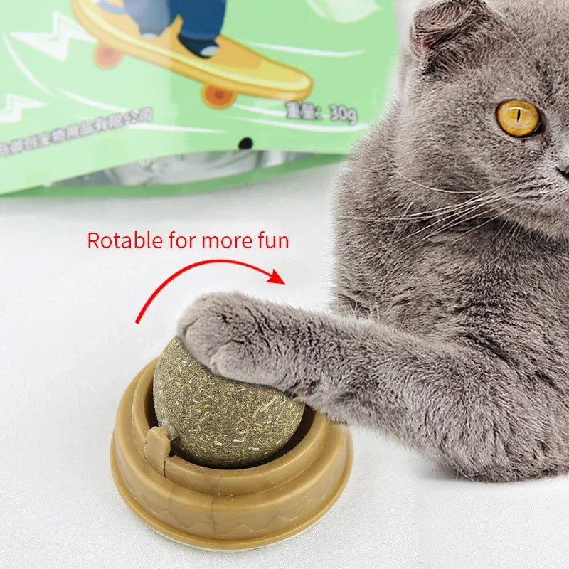 Natural Catnip Cat