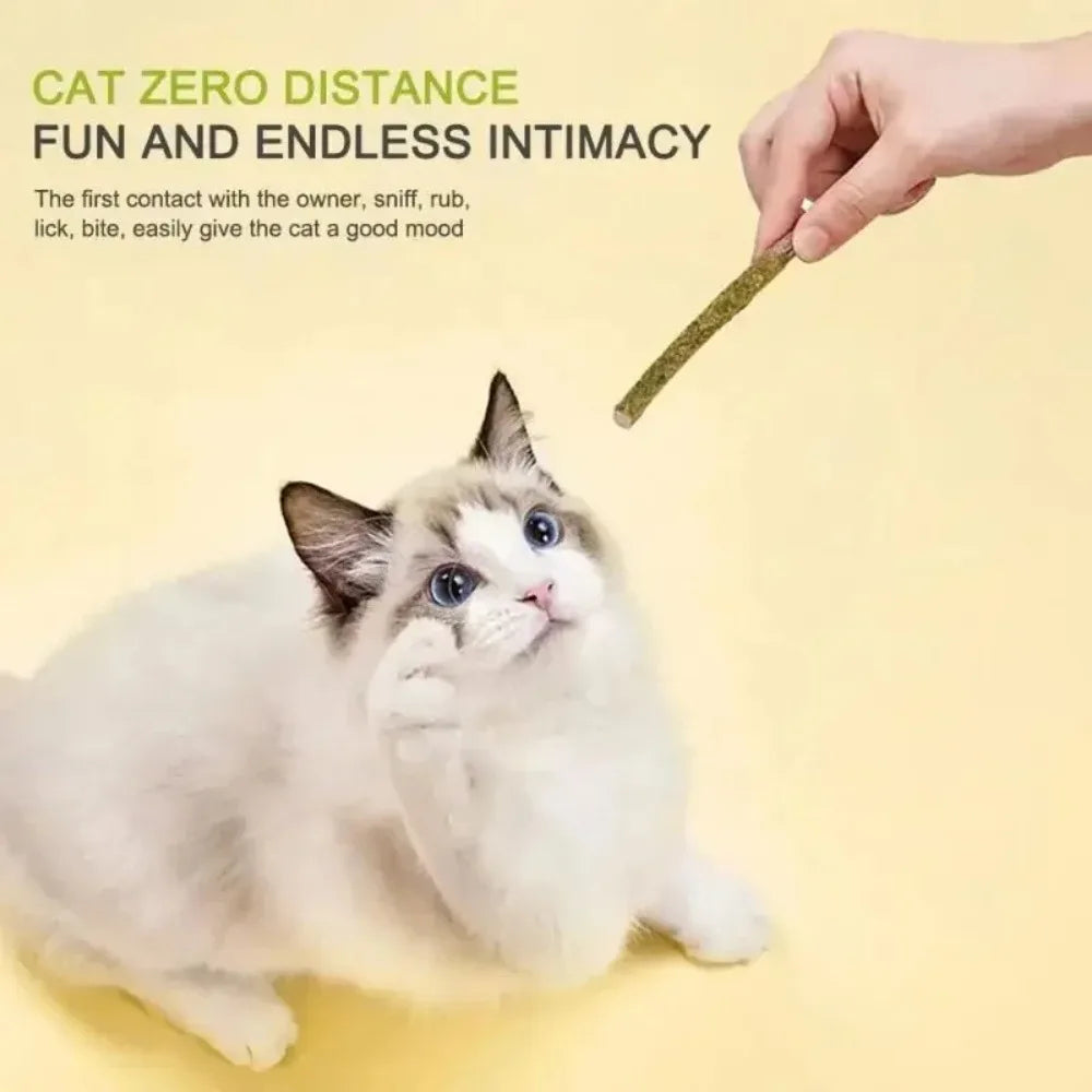Natural Matatabi Cat Stick Mint