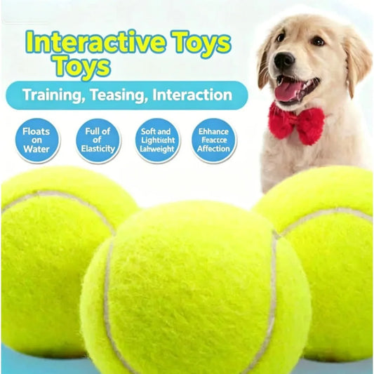Dog Toy Tennis Ball