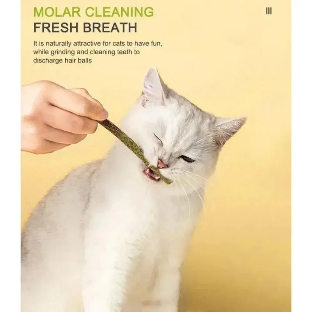 Natural Matatabi Cat Stick Mint