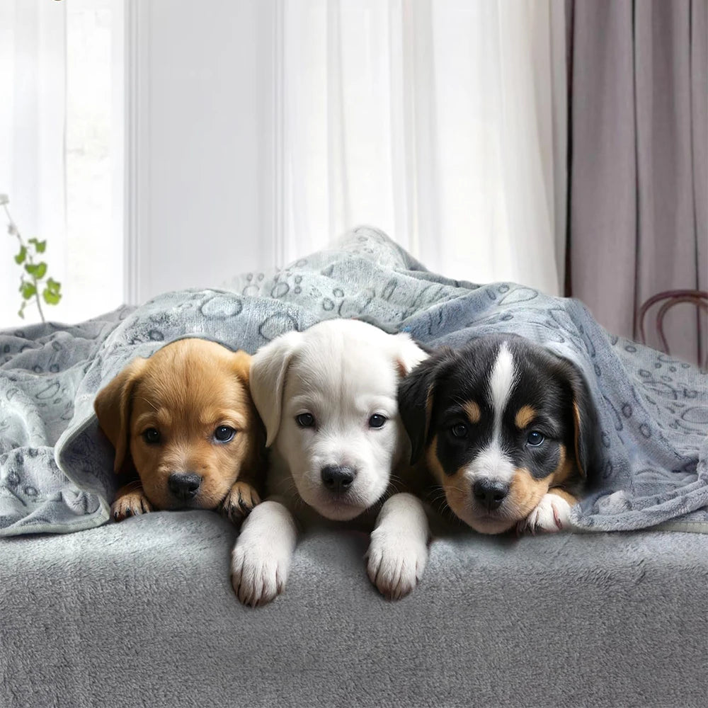 Ultra-Soft Paw Print Dog Blankets